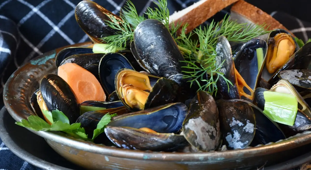 Herbed Mussels Tagine